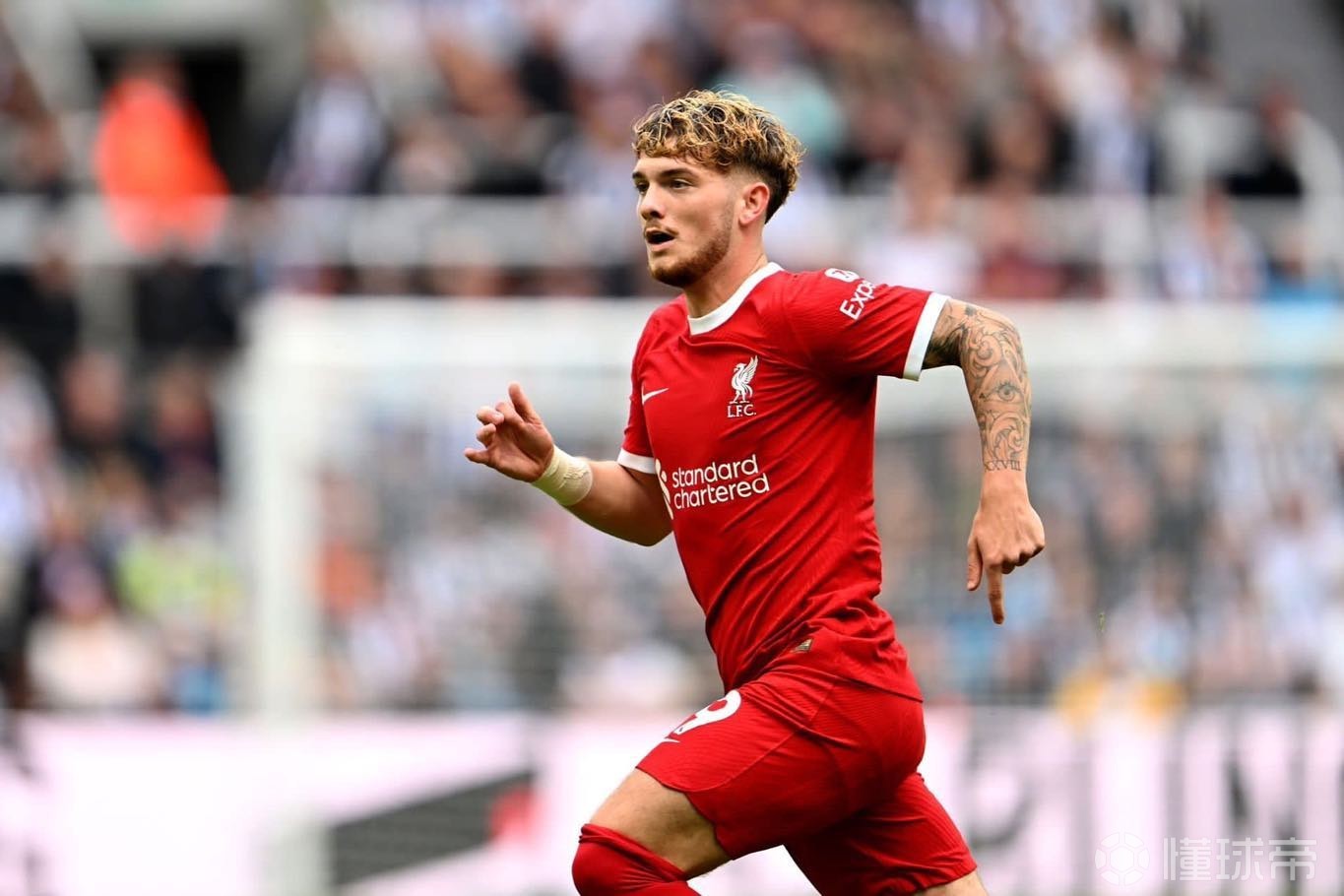 星空体育-来之不易猜一准确生肖