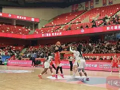 StarrySky Sports-天津女篮队员名单